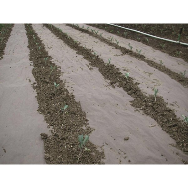 Weedguard Plus WeedGuard Plus Standard Weight Biodegradable Paper Weed Barrier FRAN009736000000050